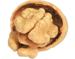 企業微信截圖_15839913208682